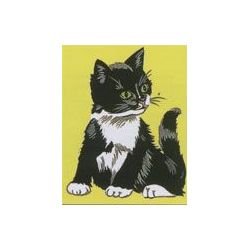 Zwart-wit kat