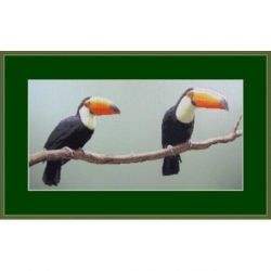 Borduurpakket Toucan Pair Orcraphics 2012.01.01