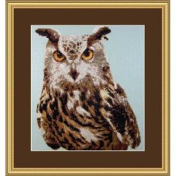 Borduurpakket Bright Eyes Orcraphics 2012.02.06