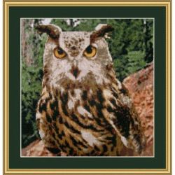 Borduurpakket Bright Eyes met geborduurde achtergrond Orcraphics 2012.02.06_2