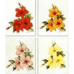 Borduurpatroon Hibiscus Ross fl04