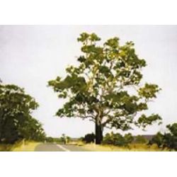 Borduurpatroon Snowy Mountains Highway Ross ho08