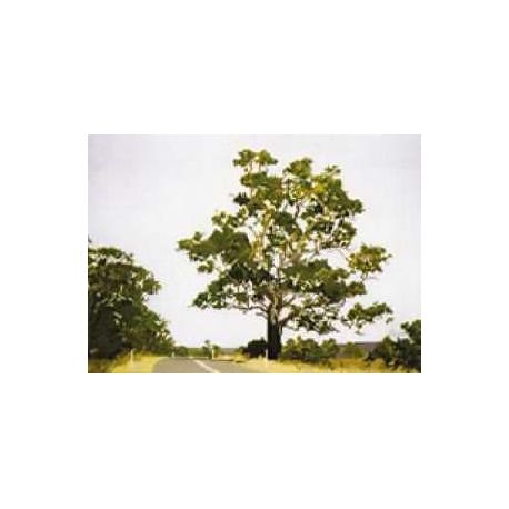 Borduurpatroon Snowy Mountains Highway Ross ho08