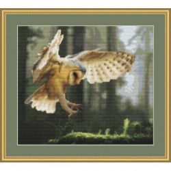 Borduurpakket Sun Beamed Flight Orcraphics 2021.02.59