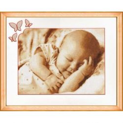 Borduurpakket Flying in a Dream Golden Fleece SV025