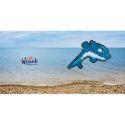 Diamond painting kaart Dolphin Wizardi WC0120