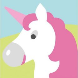 Borduurpakket eenhoorn DMC C09N235K