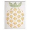 Borduurpakket groot en makkelijk ananas Anchor ALBE003PINEA