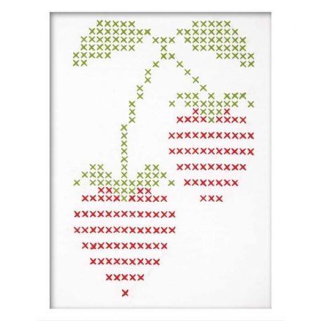 Borduurpakket groot en makkelijk aardbeien Anchor ALBE003STRAW