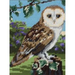 Borduurpakket Owl ANCHOR MR951