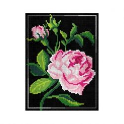 Borduurpakket voorbedrukt bloem Orchidea M2983