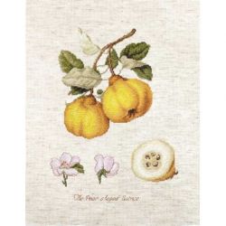 Borduurpakket The Pear shaped Quince Luca-S-ba22430