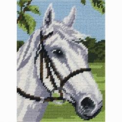 Borduurpakket Horse ANCHOR MR958