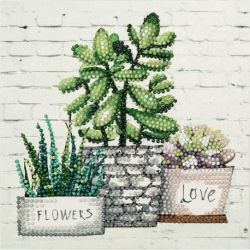 Diamond Painting Cardboard-Succulents Freyja Crystal-albp-253
