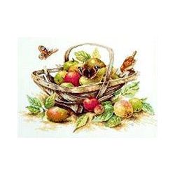 Borduurpakket Mand met appels Lanarte 0007960
