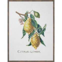 Borduurpakket citrus-limon Eva Rosenstand 12-850