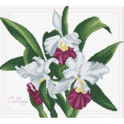 Voorbedrukt borduurpakket Bouquet of Orchids Needleart World-nc340-009