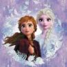 Diamond Painting Disney Frozen-2-Sisters-Camelot Dotz-851901209
