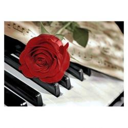Diamond painting Rose Music Wizardi WD053
