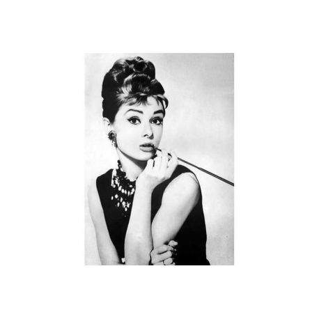 Diamond painting Audrey Hepburn Wizardi WD132