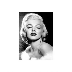 Diamond painting Marilyn Monroe Wizardi WD135