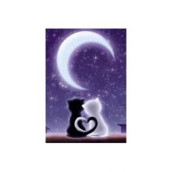 Diamond painting Under the Moon Wizardi WD204