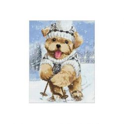 Diamond painting Skier Wizardi WD2447