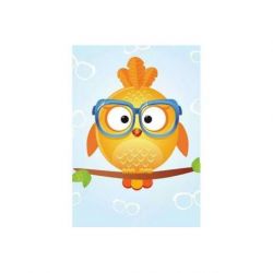 Diamond painting Owl Leo Wizardi WD249