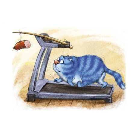 Diamond painting Fitness Wizardi WD267