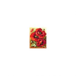 Diamond painting pakket Bright Poppies AZ-1135