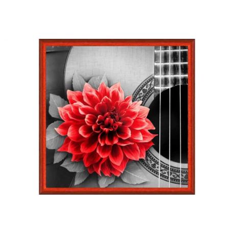 Diamond painting pakket Flower and Guitar AZ-1772