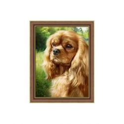 Diamond painting pakket Spaniel AZ-1792