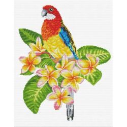 Voorbedrukt borduurpakket Frangipanni Rosella Needleart World nc440-101