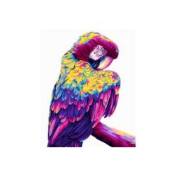 Schilderen op nummer pop-art papegaai Wizardi H140