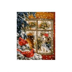 Schilderen op nummer zachte sneeuwval Wizardi L042