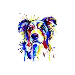 Schilderen op nummer mensenvriend Wizardi T121