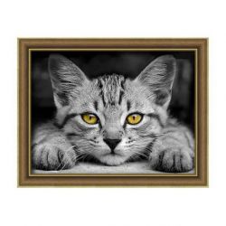 Diamond painting pakket poes met gele ogen AZ-1807