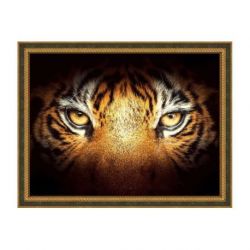 Diamond painting pakket tijgerblik AZ-1827
