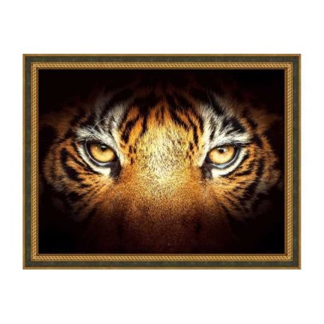 Diamond painting pakket tijgerblik AZ-1827