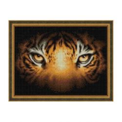 Diamond painting pakket tijgerblik AZ-1827