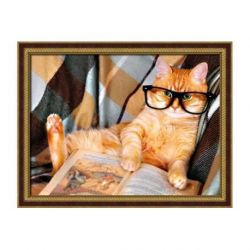 Diamond painting pakket leespoes AZ-1830