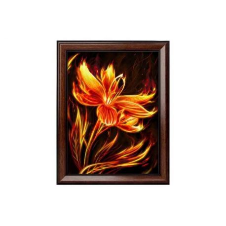 Diamond painting pakket vuurbloem AZ-1852