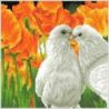 Diamond Painting Kissing Doves Needleart World-dd05-077