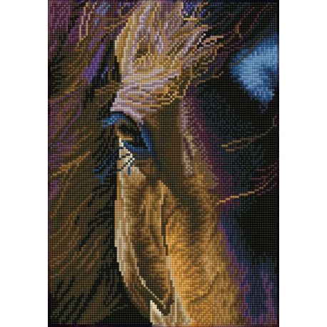 Diamond Painting Star Needleart World-dd07-060