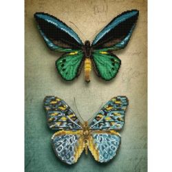 Diamond Painting Antique Butterflies Needleart World-dd09-064