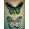 Diamond Painting Antique Butterflies Needleart World-dd09-064