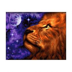 Schilderen op nummer Leeuw Wizardi H073