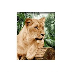 Schilderen op nummer leeuwin Wizardi H151