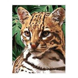 Schilderen op nummer Ocelot Wizardi H152