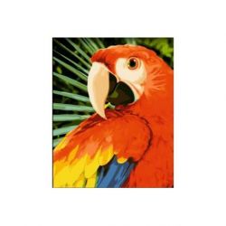 Schilderen op nummer Ara Wizardi H154